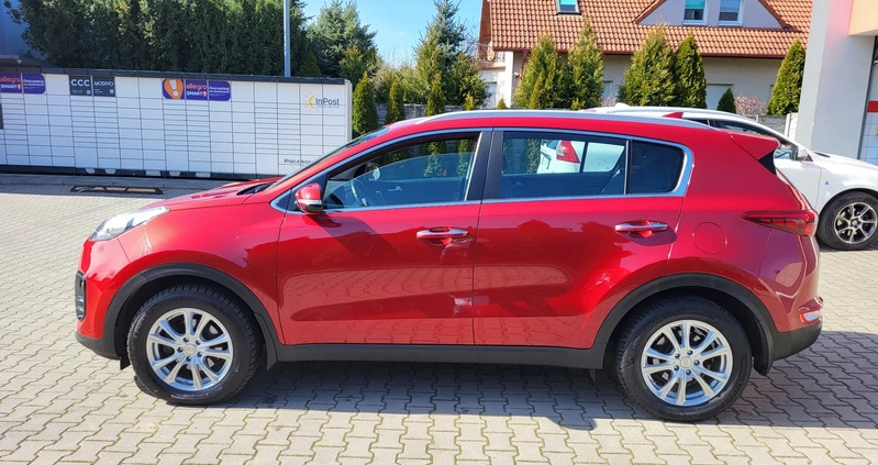 Kia Sportage cena 62700 przebieg: 116000, rok produkcji 2016 z Krosno Odrzańskie małe 254